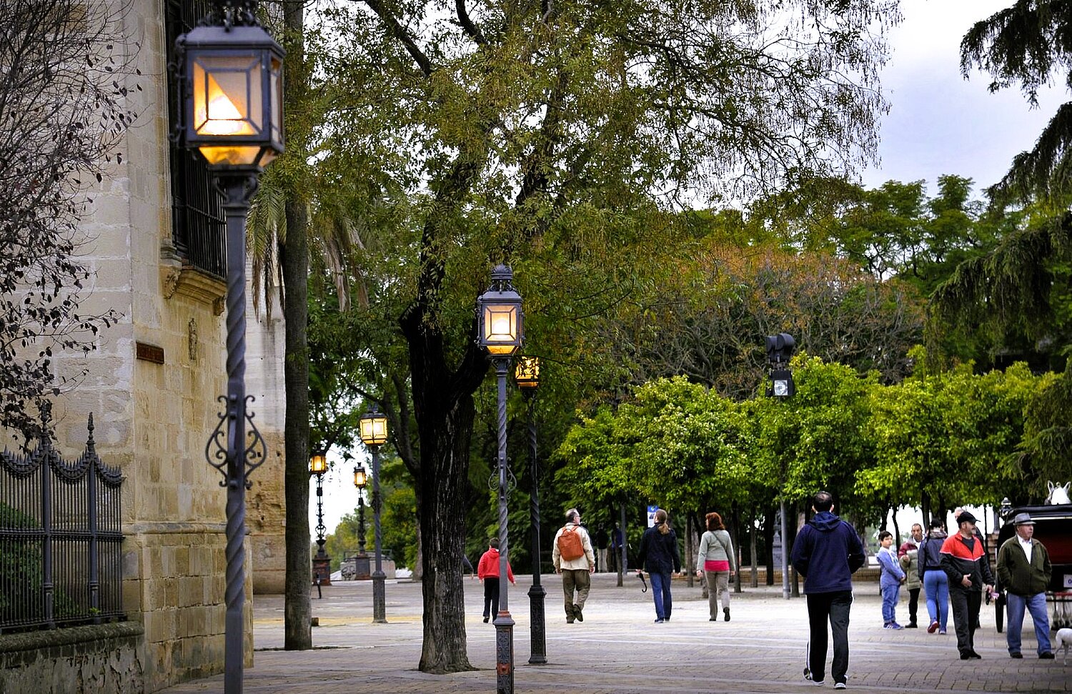 Jerez en Noviembre