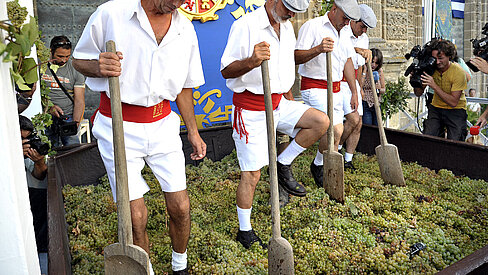 Fiestas de la Vendimia