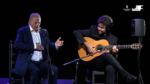 Día Internacional Flamenco