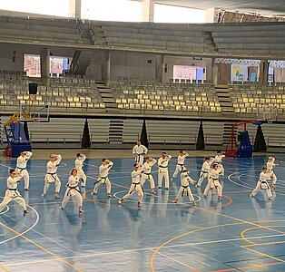 Curso intensivo de Karate