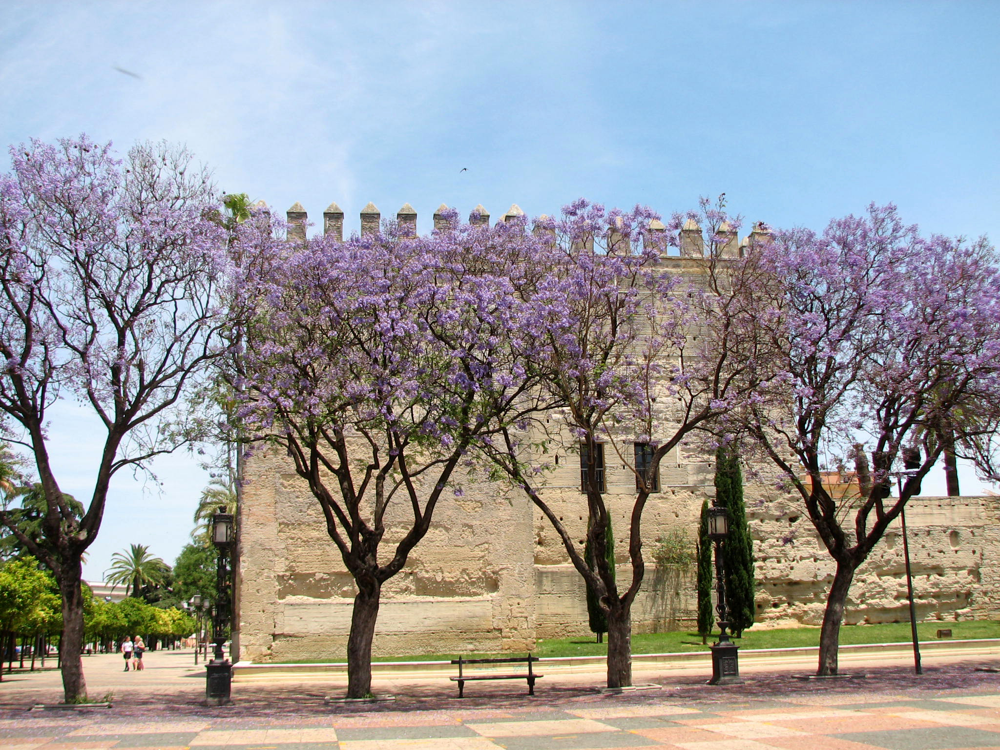 Torre del Homenaje vista desde la Alameda Vieja.