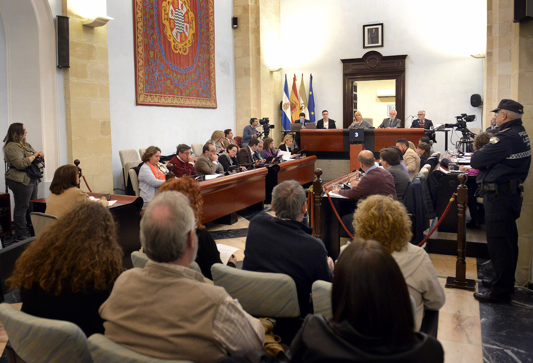 Pleno declaración violencia de género