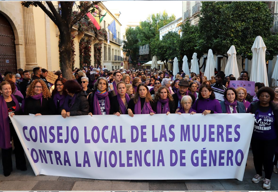 Manifestación del 25 de Noviembre