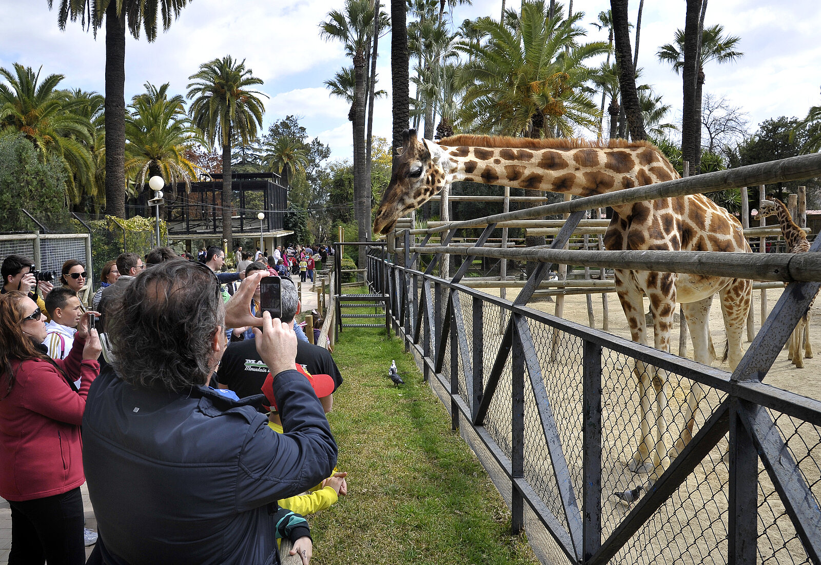 Fotografía de archivo de las instalaciones del Zoo