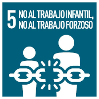 No al trabajo infantil, no al trabajo forzoso