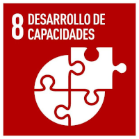 Desarrollo de capacidades