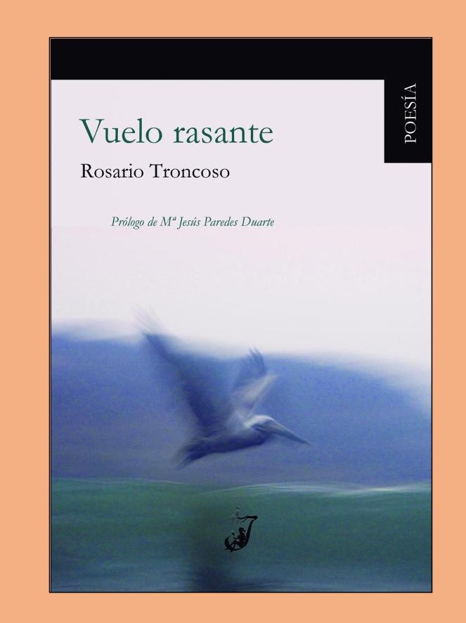 Vuelo rasante