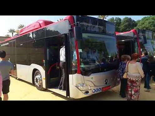 Nuevos autobuses 5