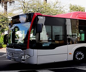 Autobuses Urbanos