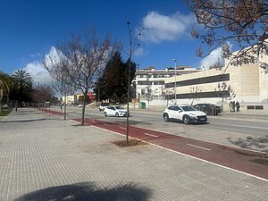 Ejemplares ya plantados en la zona de la Barriada de La Asunción