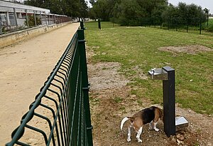parque canino