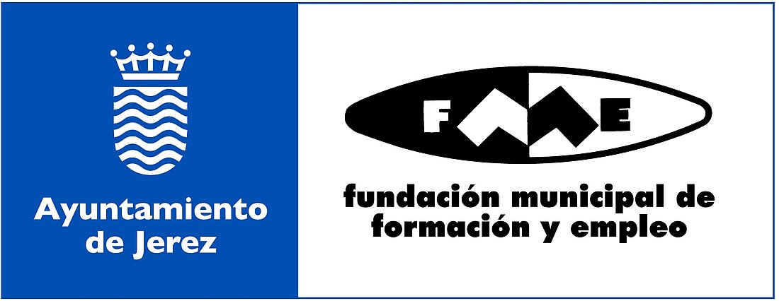 Logo FMFE
