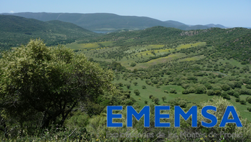 Emensa