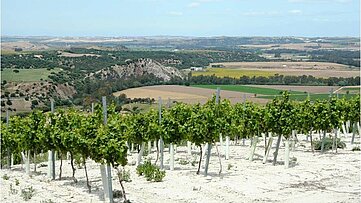 Paisajes del Jerez Rural