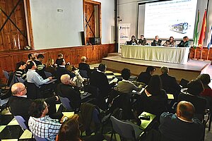 El Plan Centro ha culminado su proceso consultivo