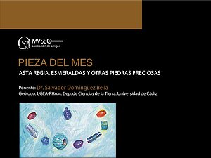 Cartel de la actividad