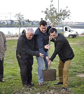 V Campaña anual Plantación Arbolado