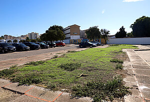 Uno de los solares de Cerrofruto