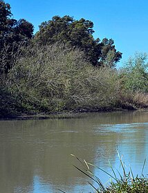 Río Guadalete