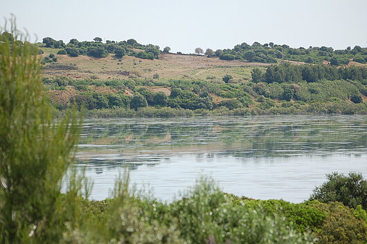 Imagen de la Laguna de Medina