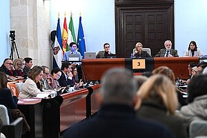 El Pleno aprueba la ordenanza de la tasa de residuos sólidos urbanos