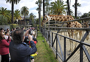 Fotografía de archivo de las instalaciones del Zoo