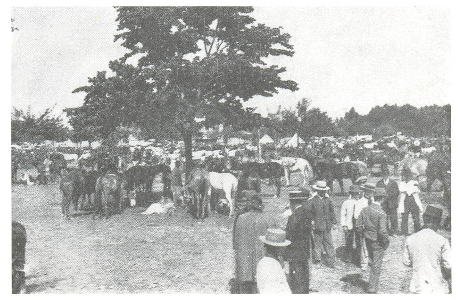 La Feria de Ganados