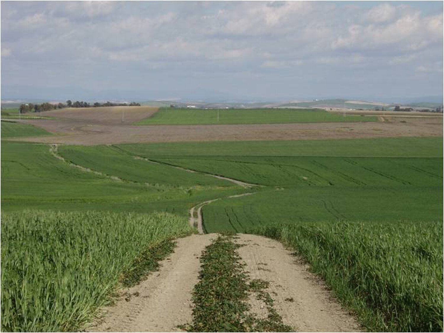 Paisaje de cultivos de secano