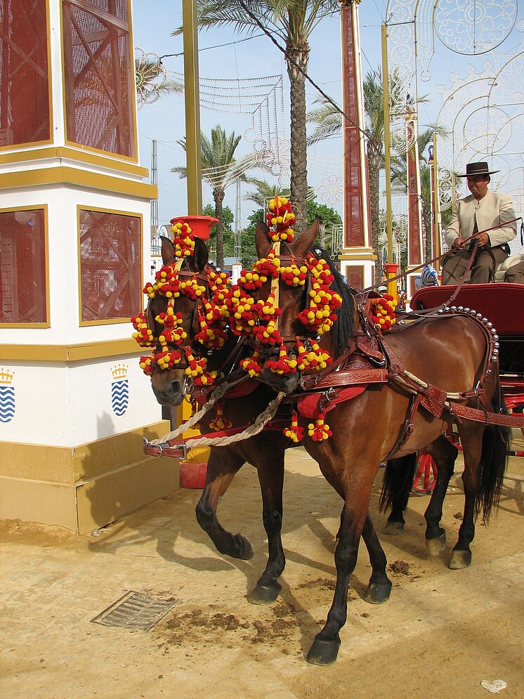 Coche de caballos