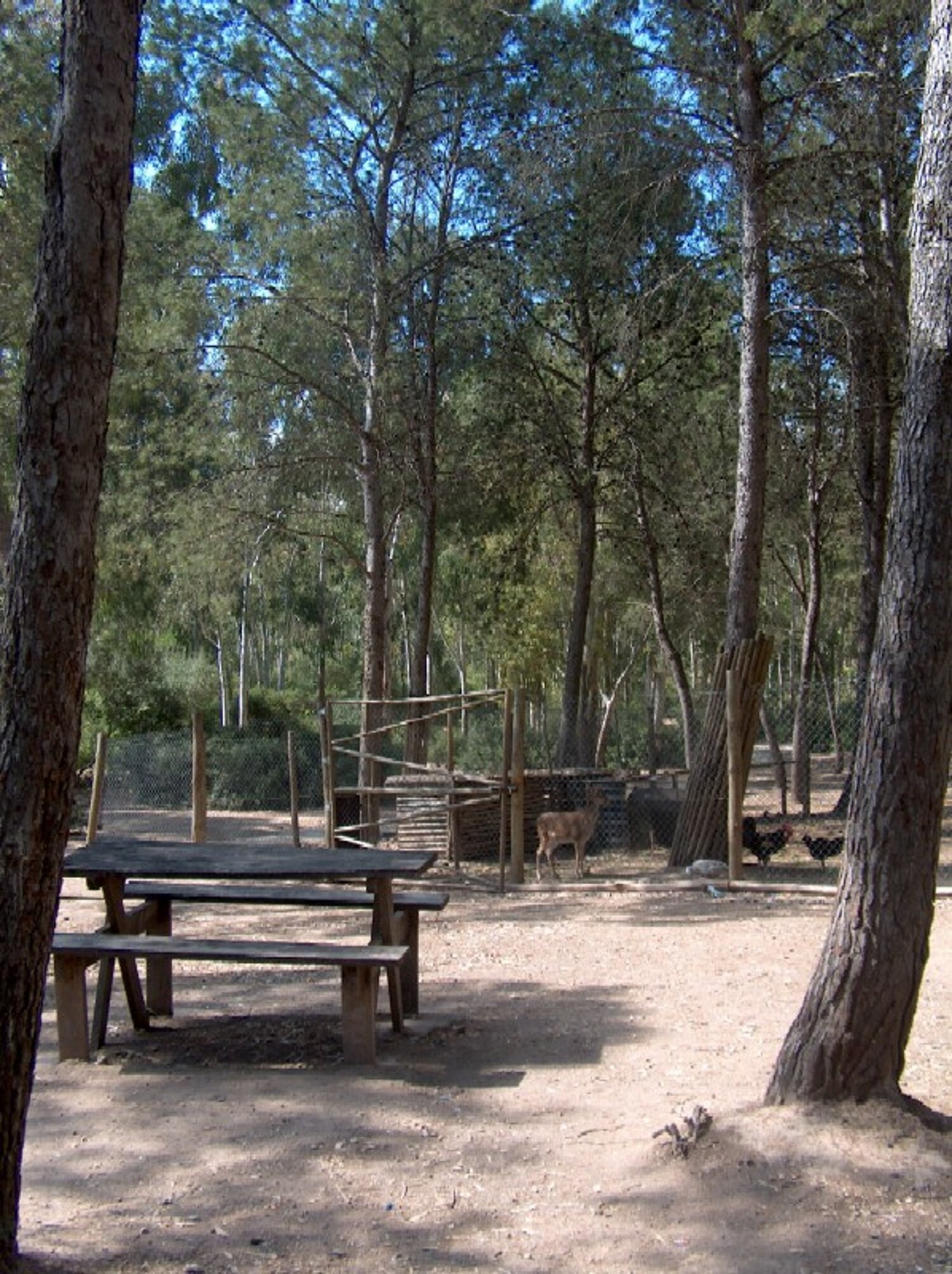 Imagen del Parque de las Aguilillas