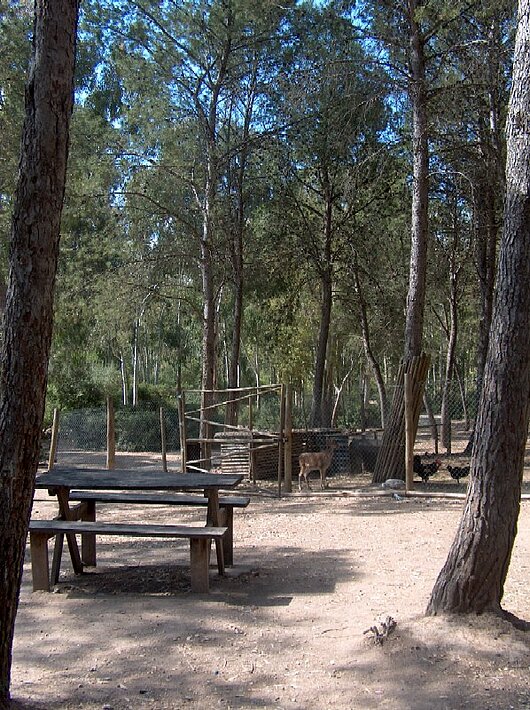 Imagen del Parque de las Aguilillas
