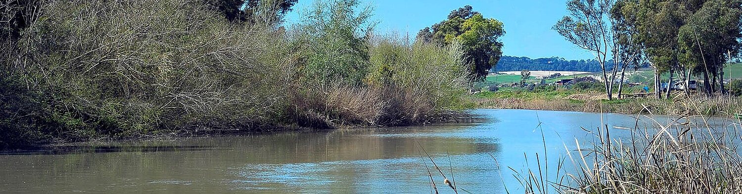 Río Guadalete panorámica