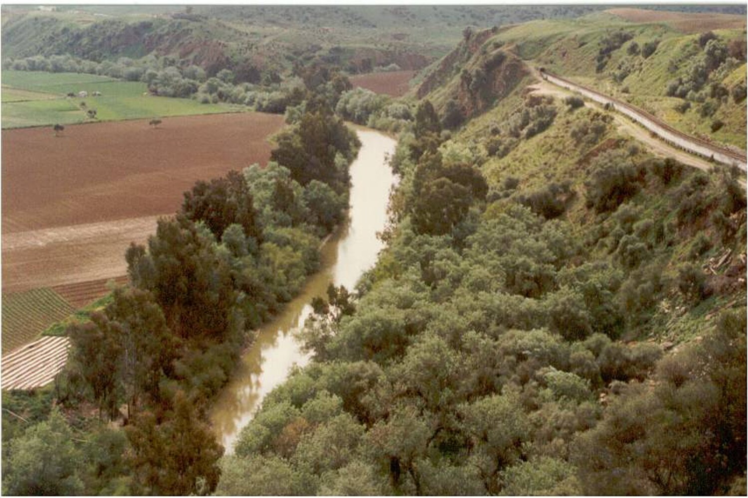 Bosques de Ribera