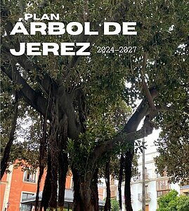 PLAN ARBOL