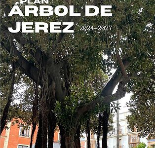 PLAN ARBOL