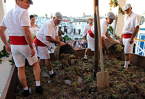 Fotografía del acto de la pisa de la uva