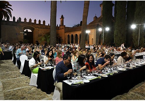 Catas Magistrales en el Alcázar