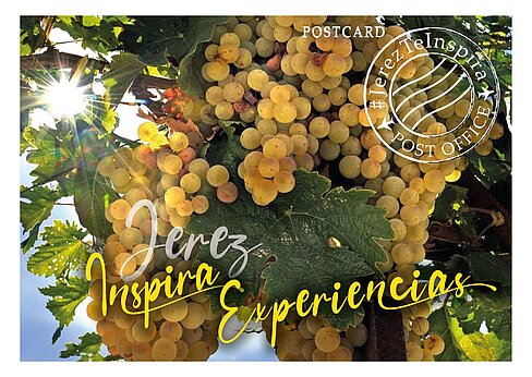 Jerez Te Inspira Experiencias