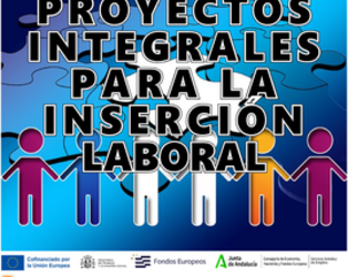 Proyecto Integral Inserción Laboral