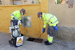Archivo. El Ayuntamiento realiza campañas de desratización todo el año