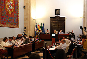 Salón de plenos durante la sesión ordinaria