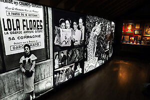 Centro Cultural Lola Flores