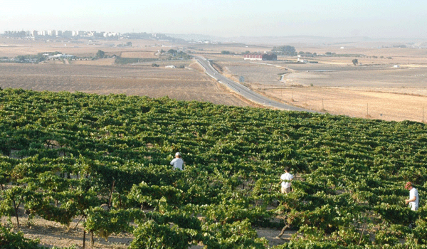 Agroalimentario