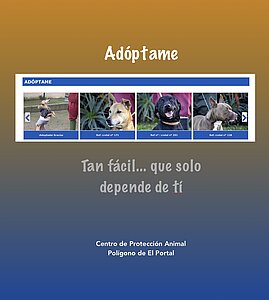 Campaña Adopción Animales