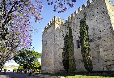 Muralla del Alcázar