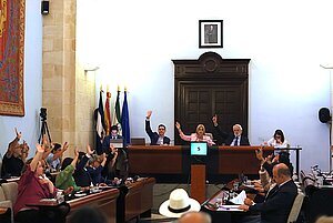 El Pleno aprueba conceder la Medalla de Oro Congregación de las Esclavas del Sagrado Corazón de Jesús las