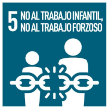 No al trabajo infantil, no al trabajo forzoso