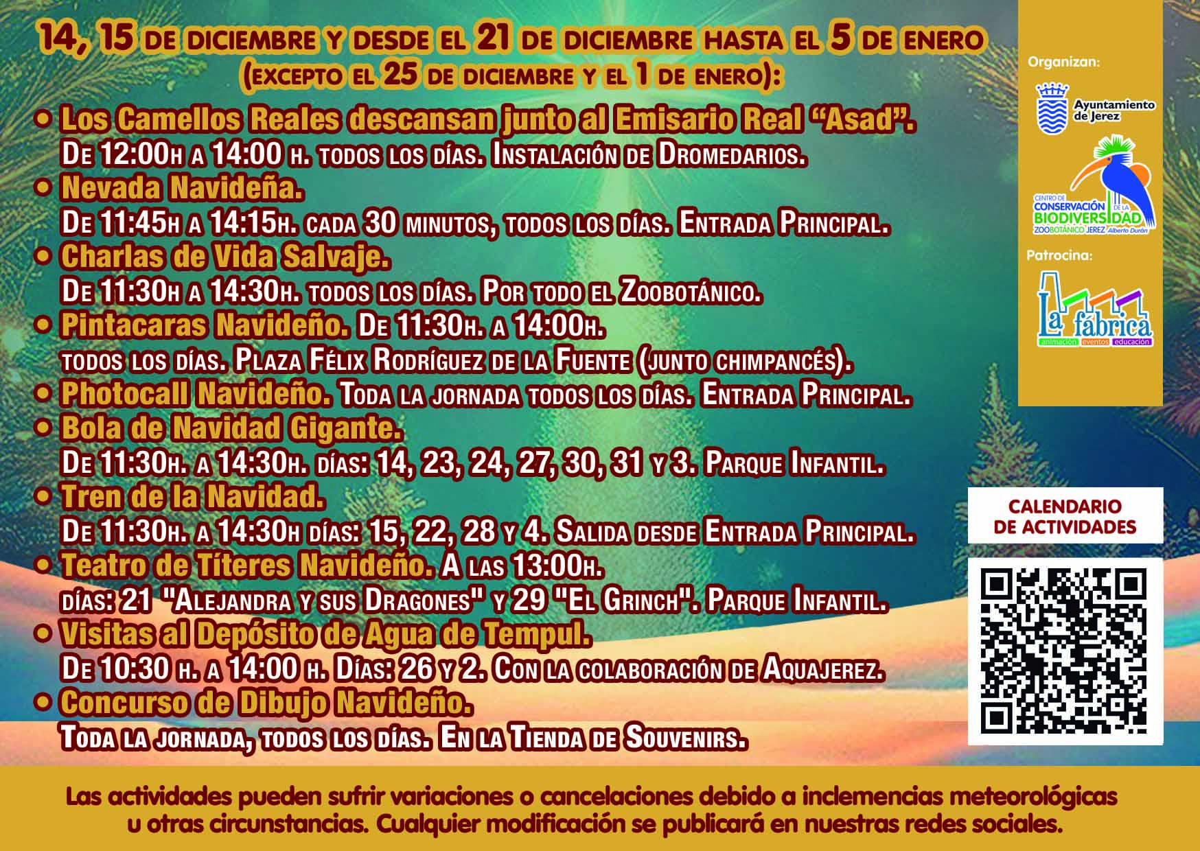 Actividades Navidad